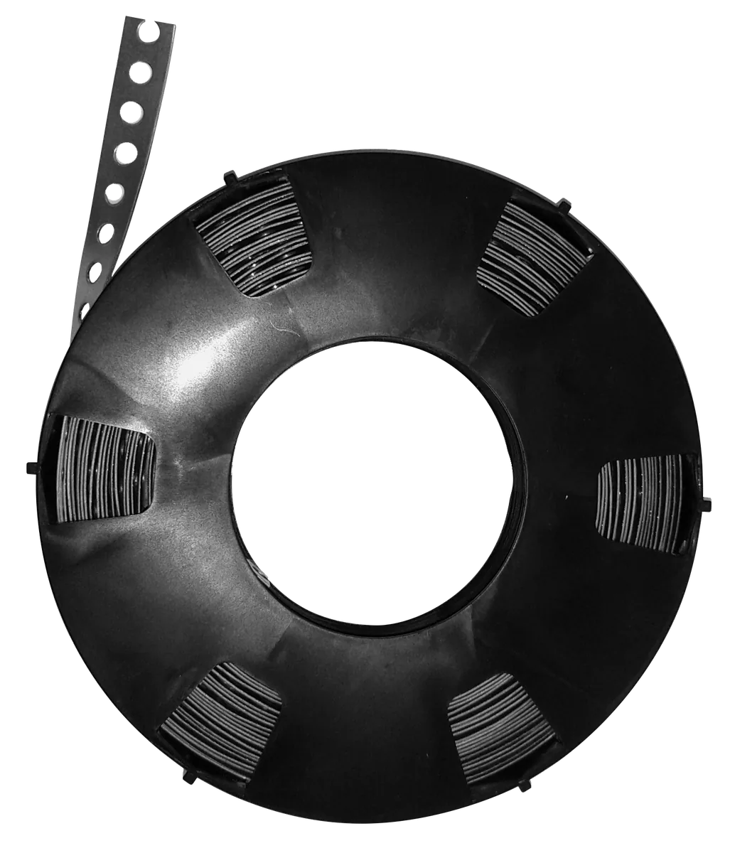 Fixing band